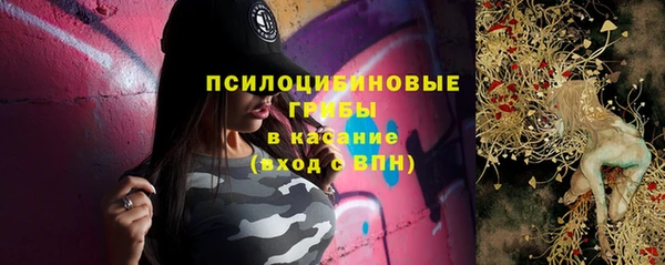 метадон Вяземский