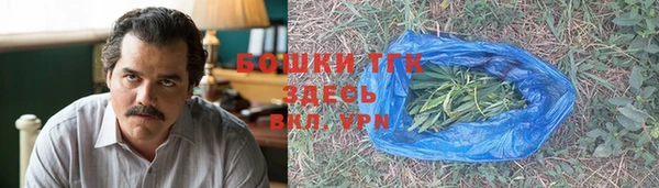 метадон Вяземский